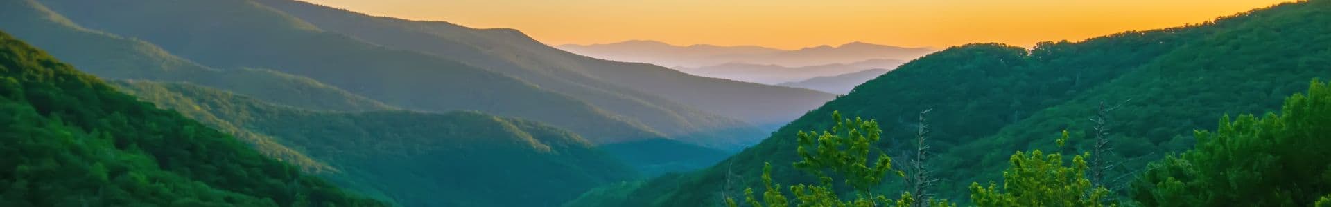 A panoramic view of rolling green mountains at sunset.