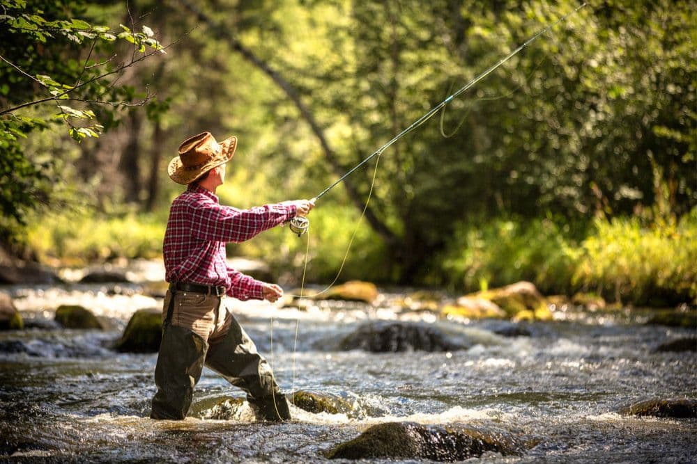 A person in a cowboy hat fly-fishes in a sunlit river surrounded by greenery.