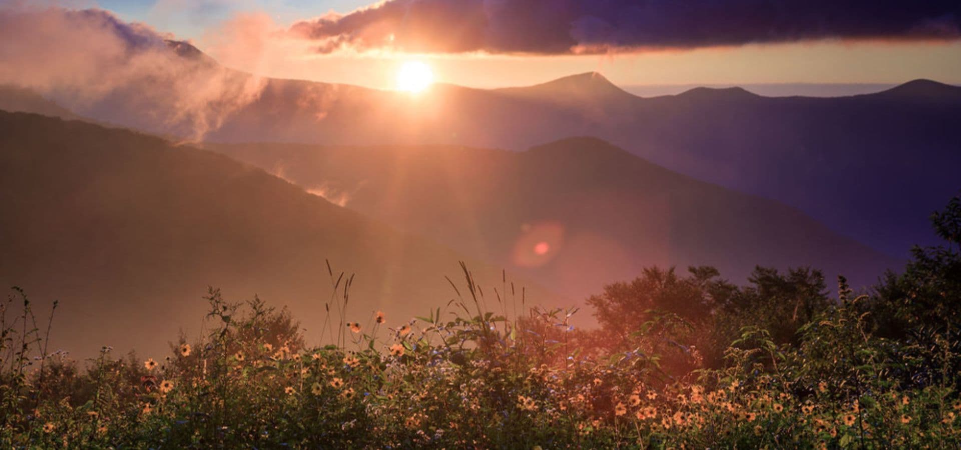 A sunset illuminates misty mountains above a field of wildflowers.